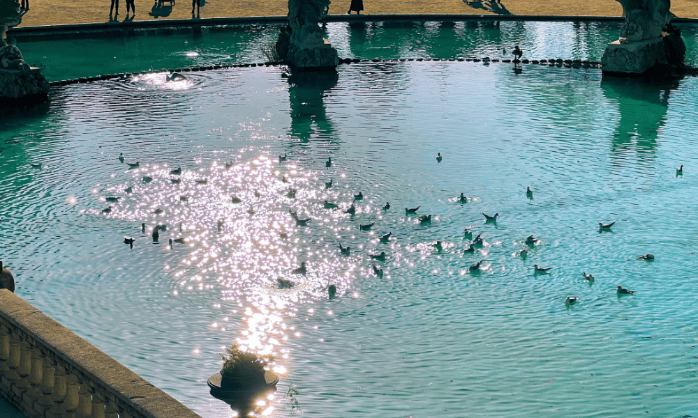 inground pools