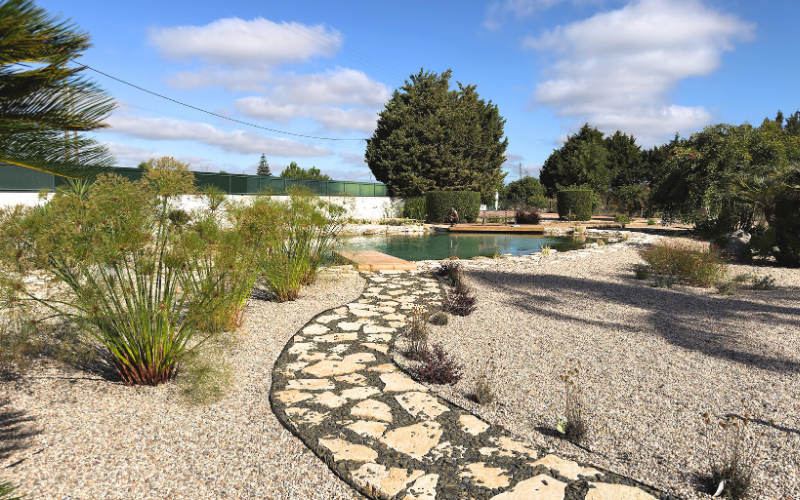 softscapes and hardscaping