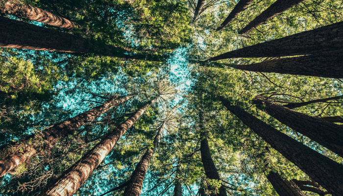 earth day