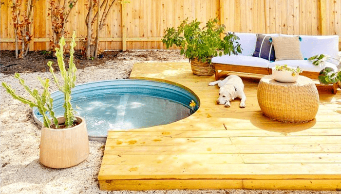 Piscina com Tanque de Gado