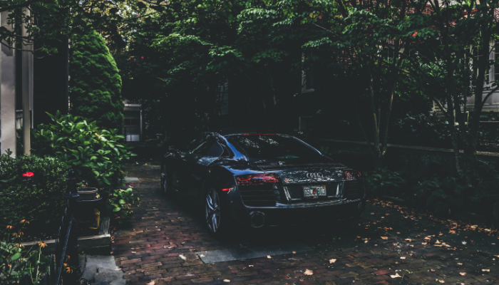 jardinagem na sombra