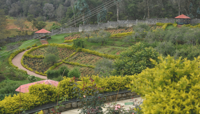 gardening on a slope