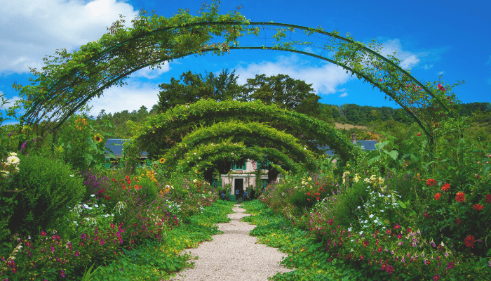 renovação de jardim
