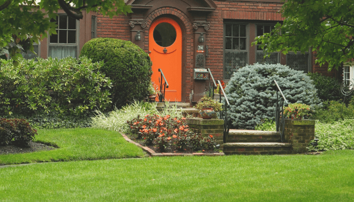 how to make a good lawn