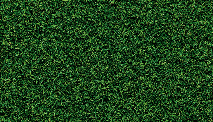 Como Colocar Relva Artificial