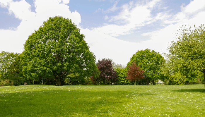Como Colocar Relva Artificial