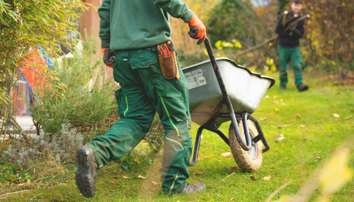 Designer de Paisagem em Portugal