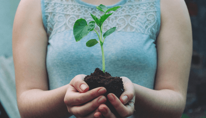 sustainability in portugal