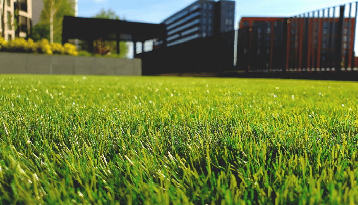 como nivelar a relvado, how to level a lawn, how to make a good lawn