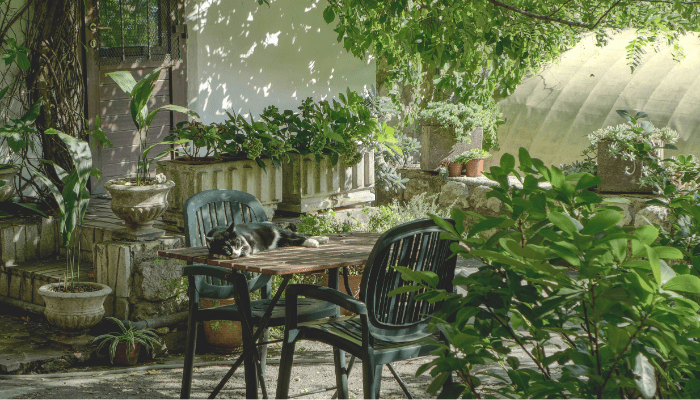 renovação de jardim