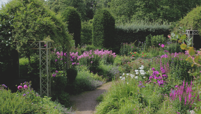Jardinagem de Flores para Iniciantes