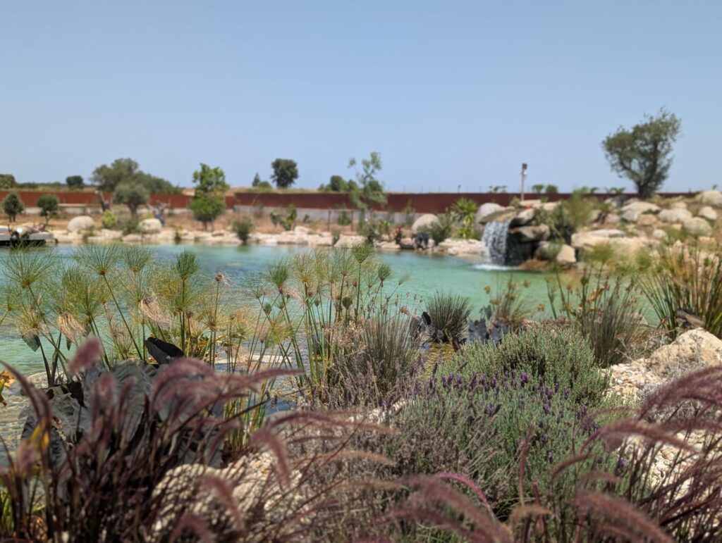 Jardinagem em Declive