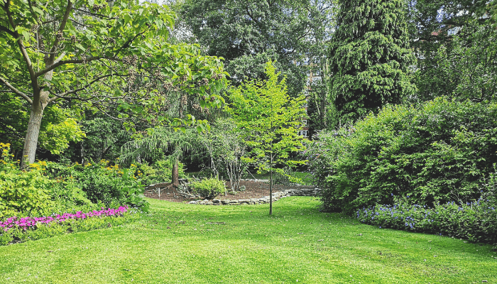 renovação de jardim