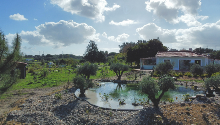 types of landscaping