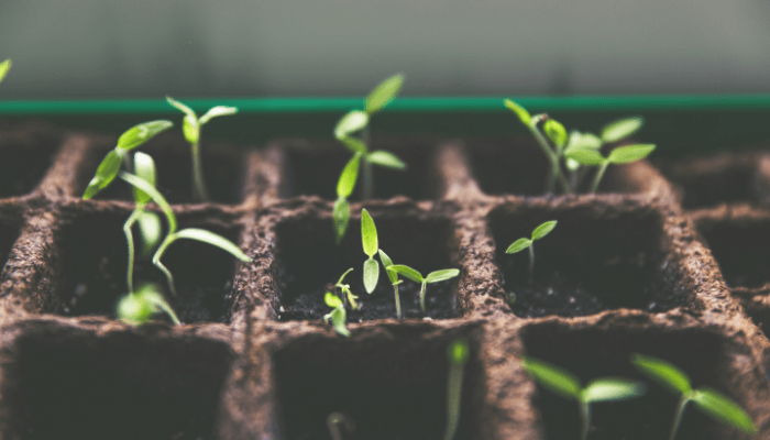 sustentabilidade em portugal