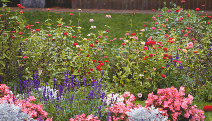 Flower Gardening for Beginners