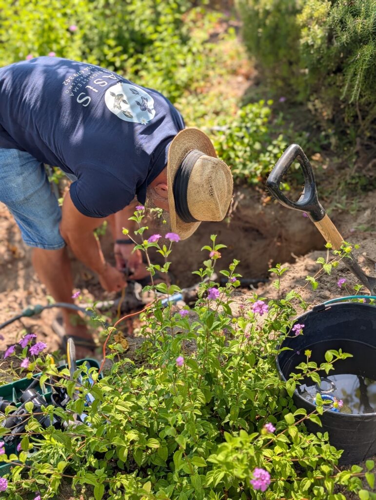 Jardinagem em Declive