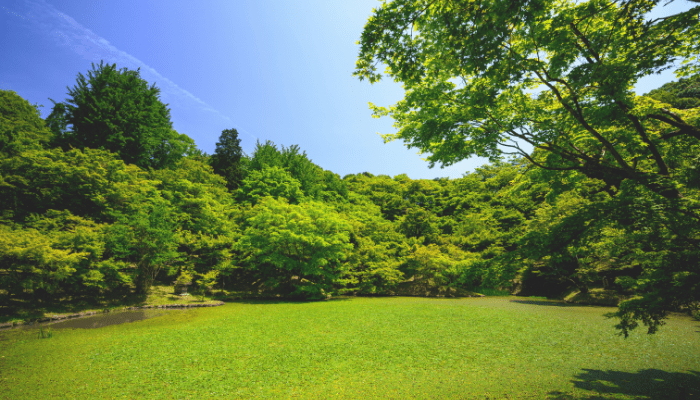 how to lay artificial lawn