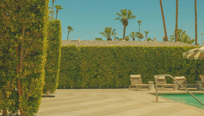 do pool filter socks work