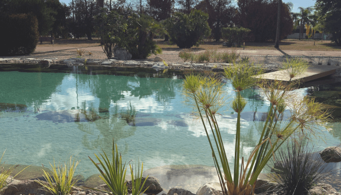 piscinas biológicas portugal