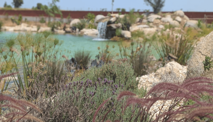 organic pools in portugal