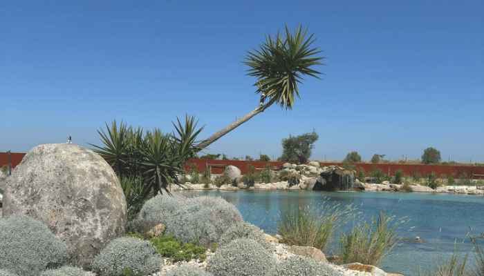 piscinas biológicas portugal