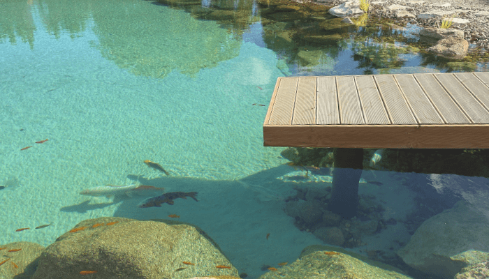 piscinas biológicas portugal e Tratamento Natural para Piscinas