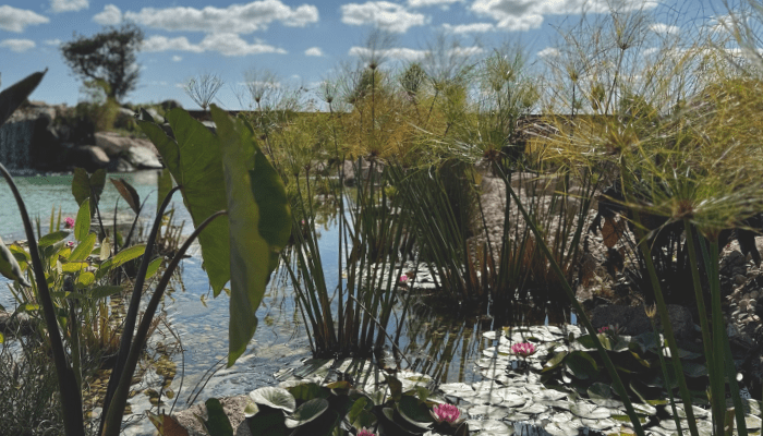 how to make ornamental ponds
