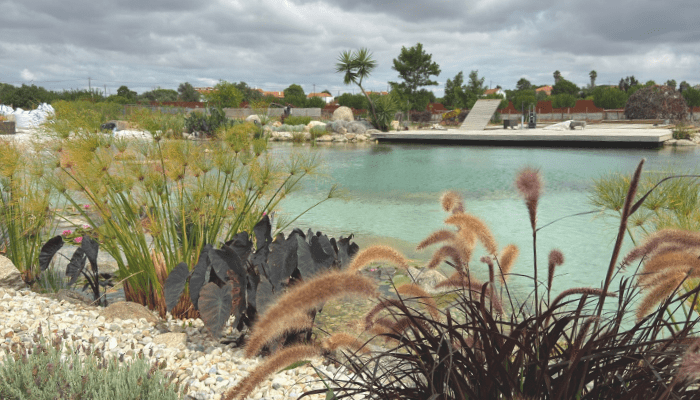 Como Fazer um Lago Ornamental