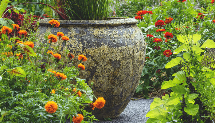 ideias de design de jardim