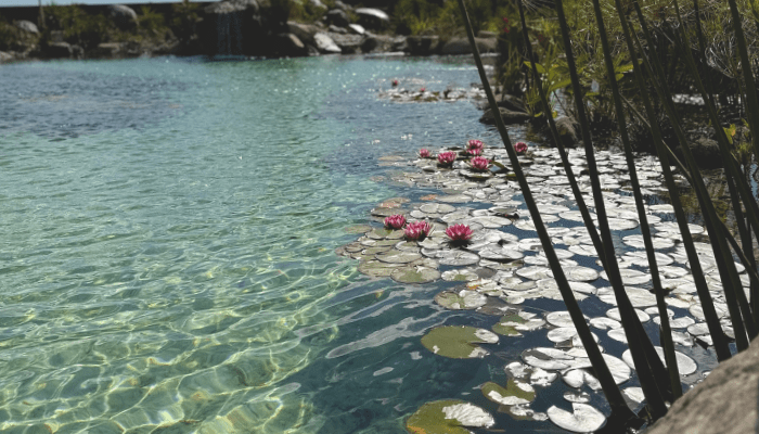 how to make ornamental ponds