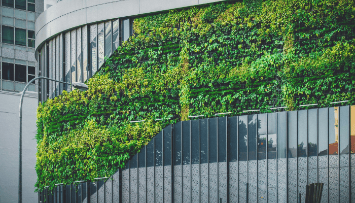 sustentabilidade e arquitetura