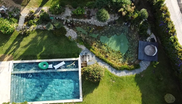 natural pool vs salt water pool