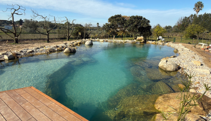 koi pond