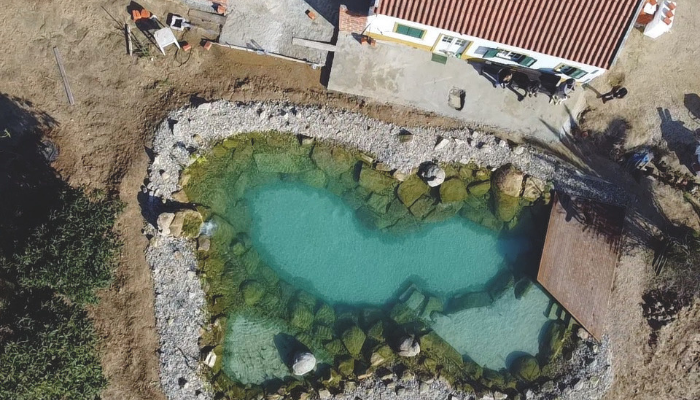 lago koi