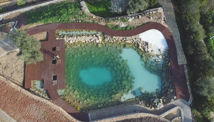 lago koi