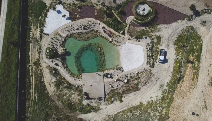 lago koi