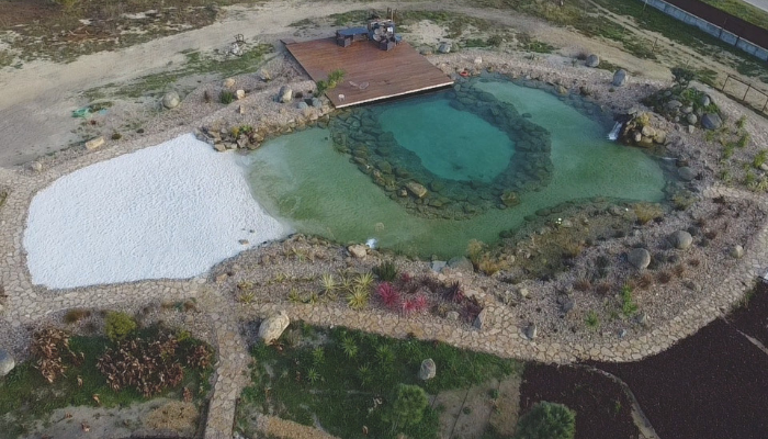 lago koi
