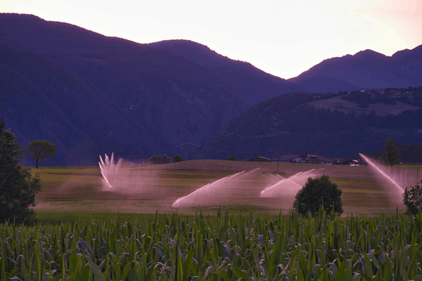 garden irrigation system