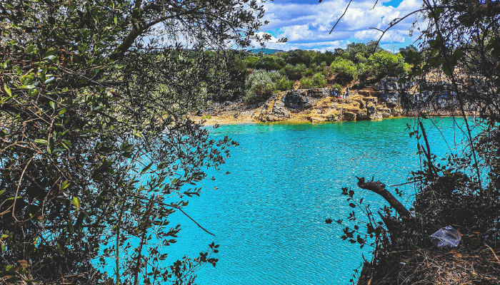 what is limnology