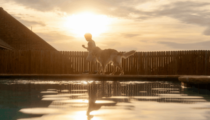 how does a sand filter pool pump work