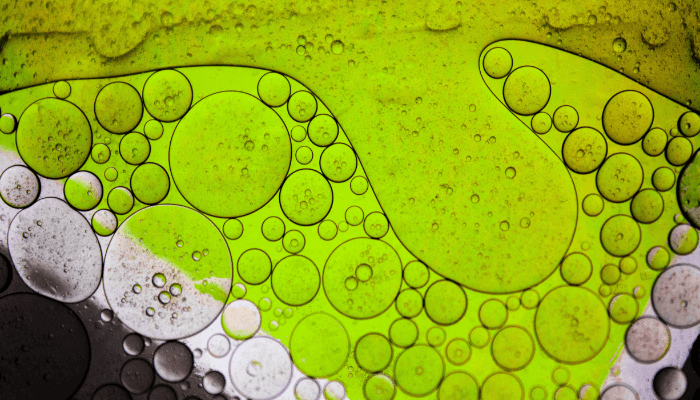 is algae in the pool dangerous